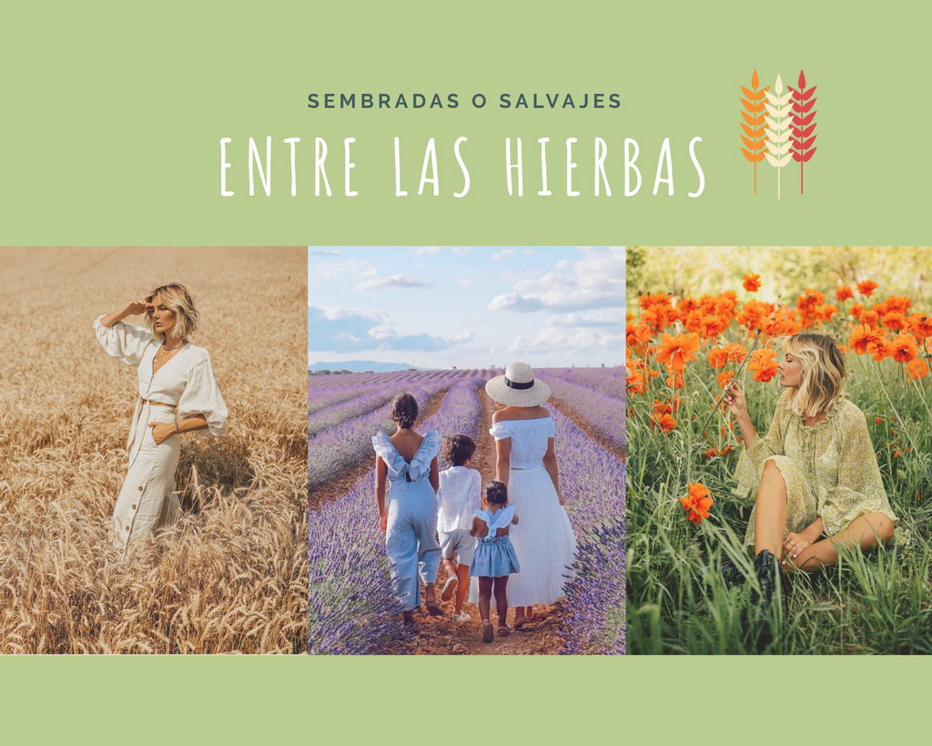 entre las hierbas