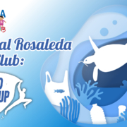 Especial Rosaleda Kids Club: World Cleanup Day