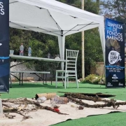 Centro Comercial Rosaleda celebra una jornada de limpieza de fondos marinos con motivo del World Cleanup Day