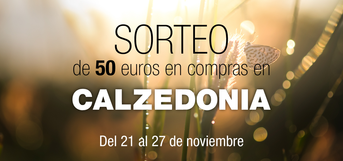 Sorteamos 50 euros en Calzedonia