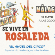 noche en blanco rosaleda