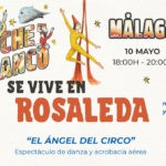 noche en blanco rosaleda