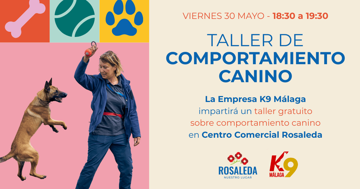taller k9 mascotas