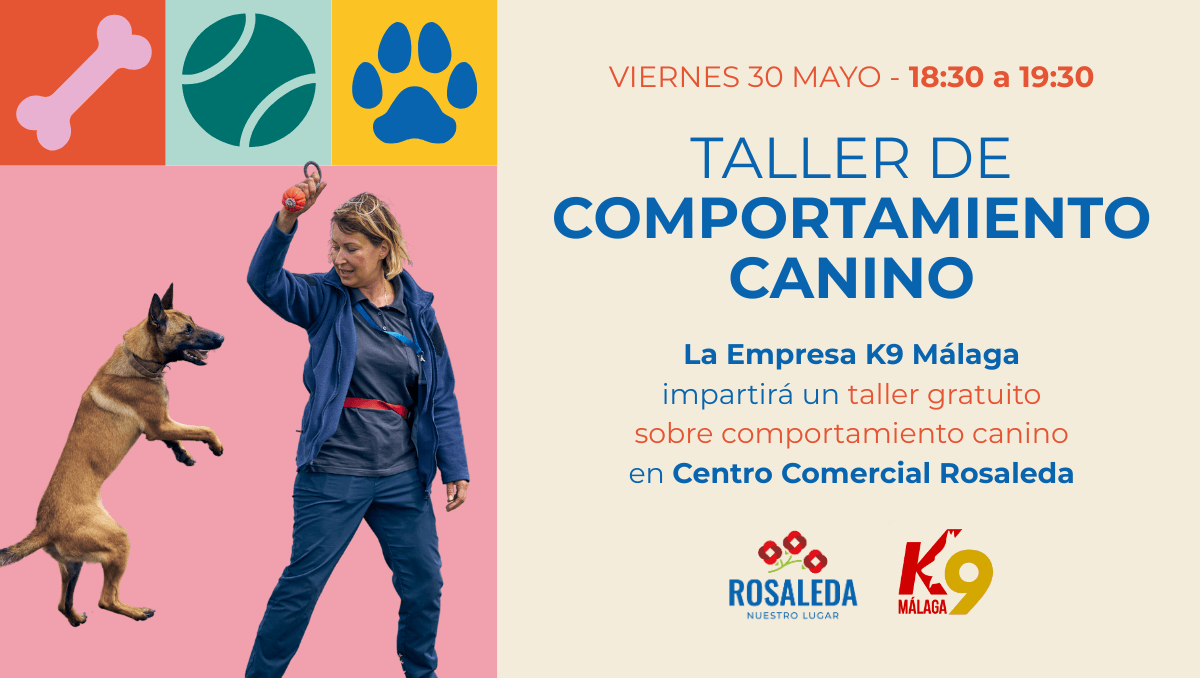 taller k9 mascotas