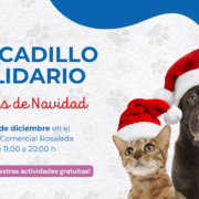 mercadillo protectoras rosaleda