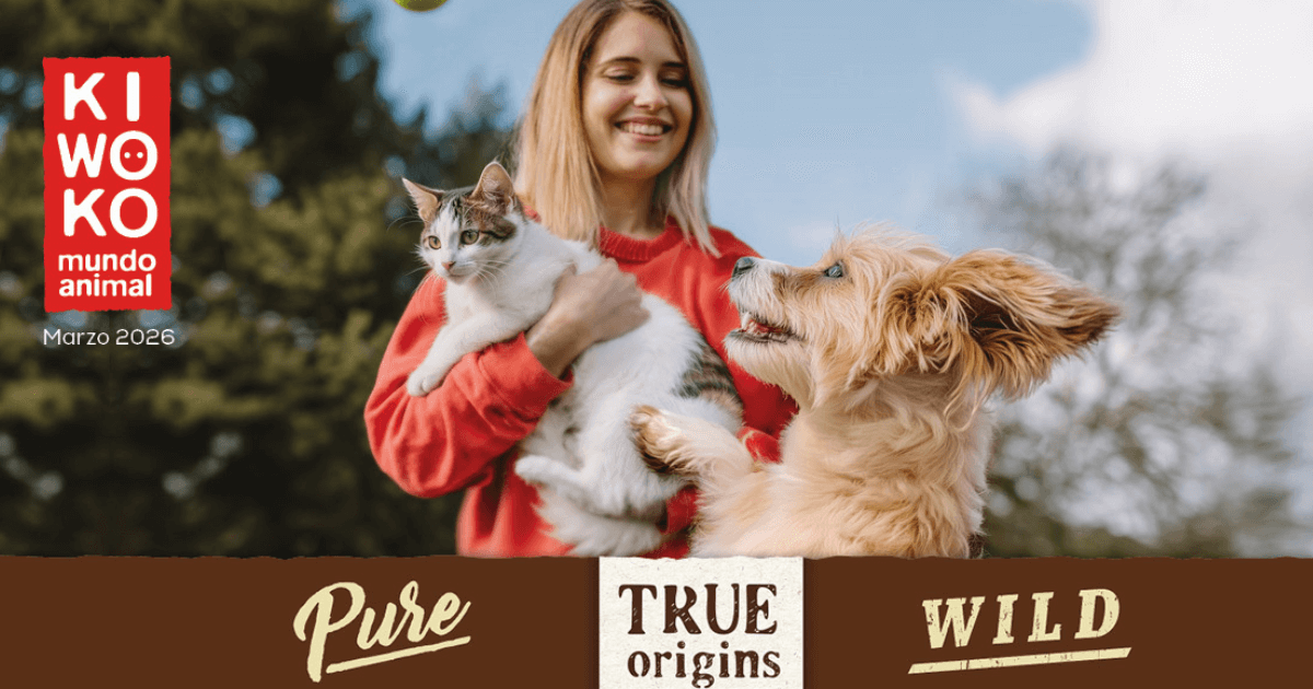 oferta kiwoko marzo 2026