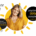 dental star promo verano