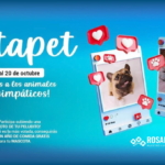 Concurso de mascotas Rosaleda